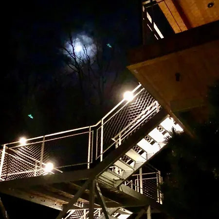 Ferienhaus Baumwipfel-resort 