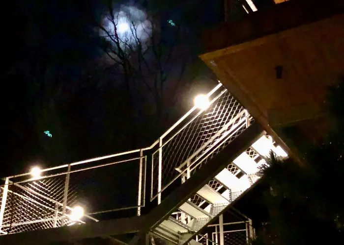 Feriehus Baumwipfel-resort 